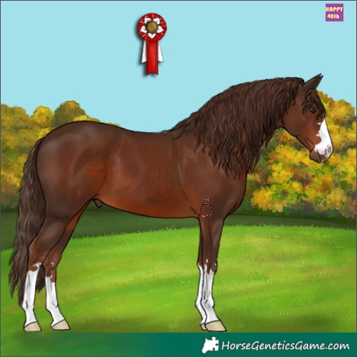 Horse Color:Liver Chestnut