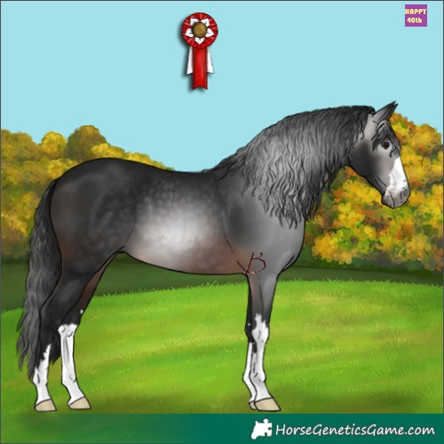 Horse Color:Gray Brown