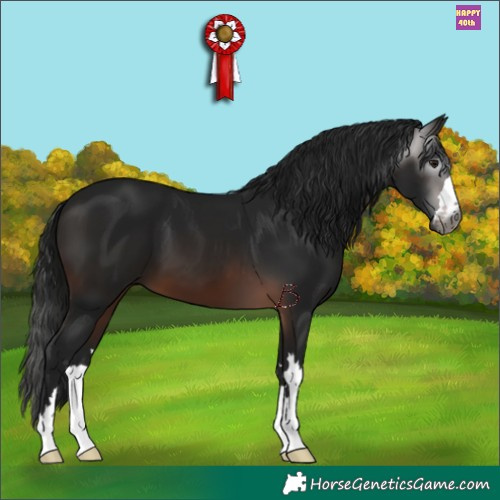 Horse Color:Gray Brown 