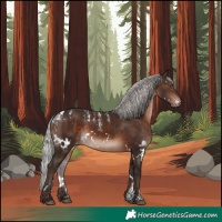 Horse Color:Powder White White Spotted Silver Brown Mushroom Skewed Appaloosa Rabicano