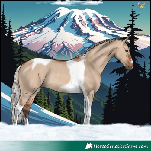 Horse Color:Silver Brown Dun Tobiano Rabicano 