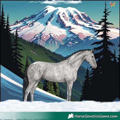 Horse Color:Grullo Ice Tobiano