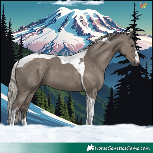 Horse Color:Silver Grullo Tobiano