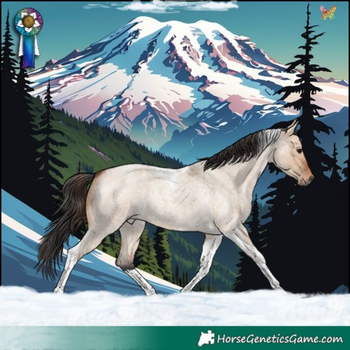 Horse Color:Bay Roan Dun Tobiano