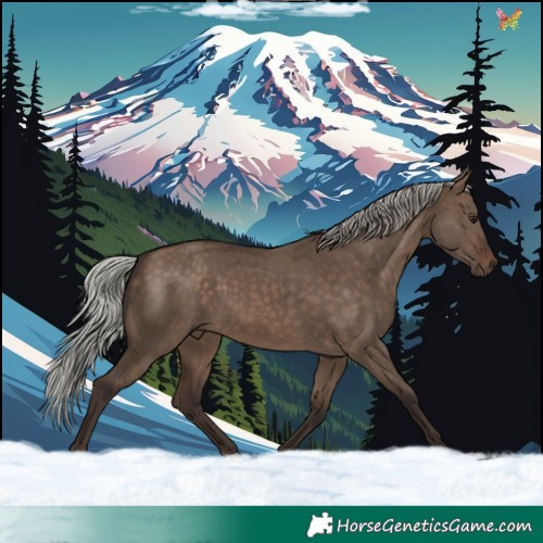 Horse Color:Silver Brown Dun 