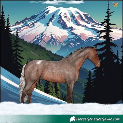 Horse Color:Silver Brown Roan Varnish