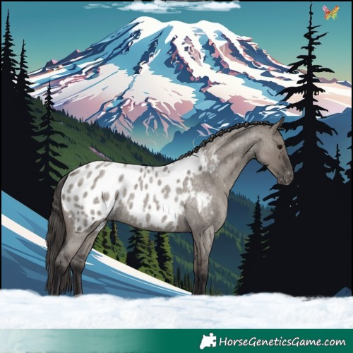 Horse Color:Smoky Grullo Roan Blanket Rabicano