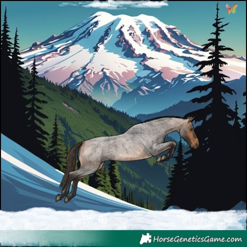 Horse Color:Buckskin Roan Rabicano