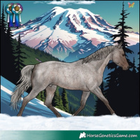 Horse Color:Silver Blue Roan Rabicano