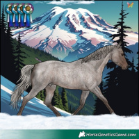 Horse Color:Silver Blue Roan Rabicano 