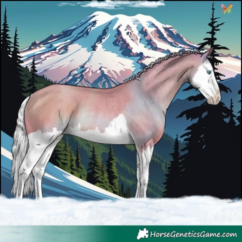 Horse Color:Watercolor Silver Classic Champagne Splash Rabicano