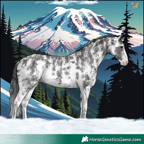 Horse Color:Smoky Black Sabino
