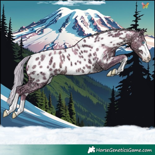 Horse Color:Watercolor Silver Sable Cream Champagne Ice Dun Appaloosa