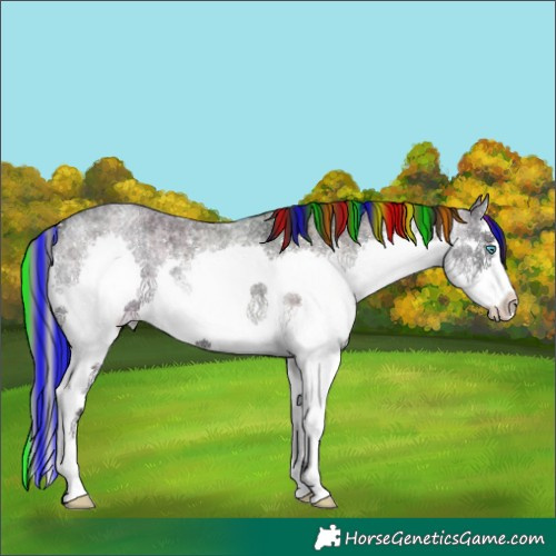 Horse Color:Painted Liver Red Onyx Ice Roan Splash 
