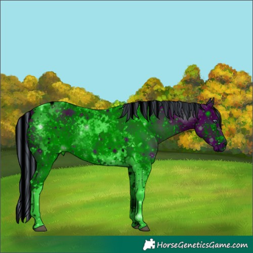 Horse Color:ERROR: UNKNOWN ANOMALY