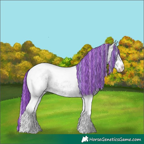 Horse Color:Platinum Painted Liver Red Onyx Chinchilla Ice Roan Splash Tobiano