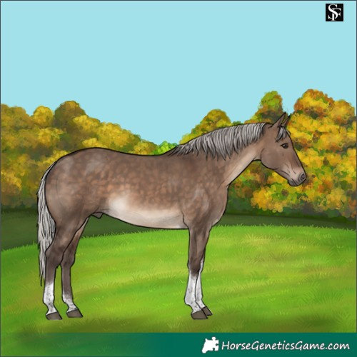 Horse Color:Silver Brown Dun Tobiano