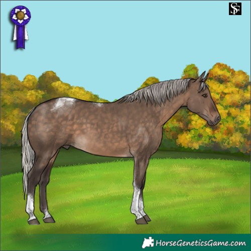 Horse Color:Silver Brown Dun Tobiano 