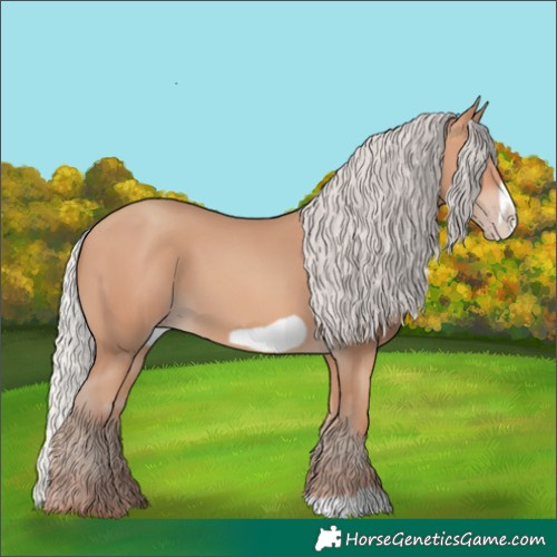 Horse Color:Silver Amber Champagne Frame 