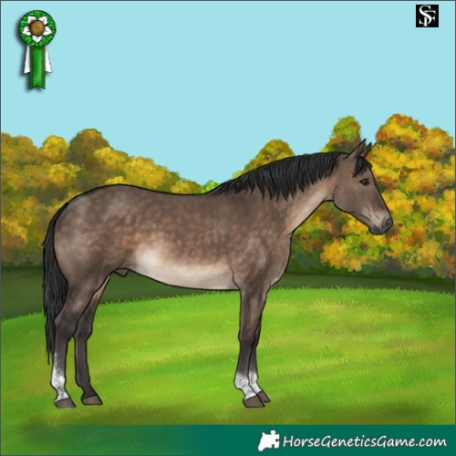 Horse Color:Brown Dun Tobiano 