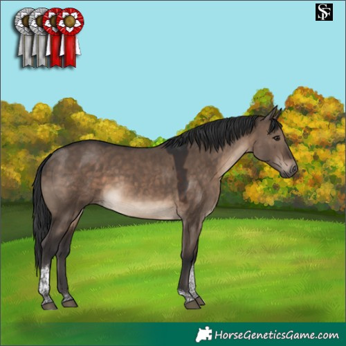Horse Color:Brown Dun Tobiano 