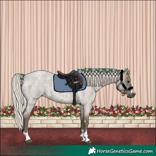 Horse Color:Silver Grullo Roan