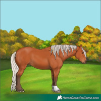 Horse Color:Silver Bay 