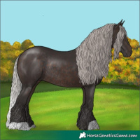 Horse Color:Silver Brown Rabicano