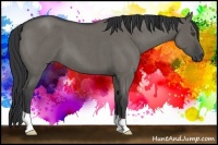 Horse Color:Grullo Roan 