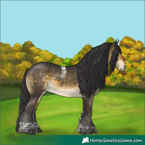 Horse Color:Buckskin Mushroom Tobiano