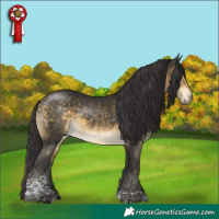 Horse Color:Buckskin Mushroom Tobiano 