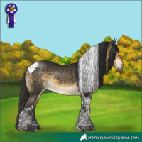 Horse Color:Buckskin Mushroom Tobiano 