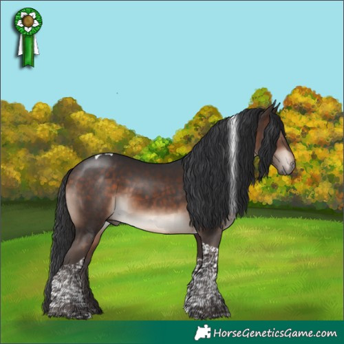 Horse Color:Bay Mushroom Tobiano 