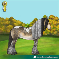 Horse Color:Buckskin Mushroom Tobiano