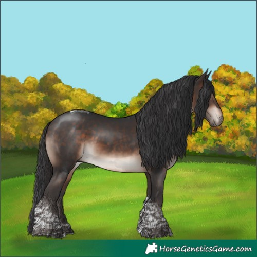 Horse Color:Bay Mushroom Tobiano 