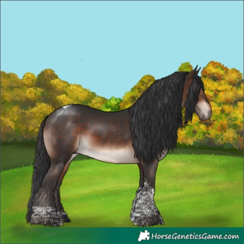 Horse Color:Bay Mushroom Tobiano