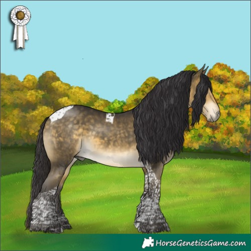 Horse Color:Buckskin Mushroom Tobiano