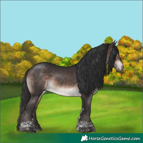 Horse Color:Bay Mushroom Tobiano 