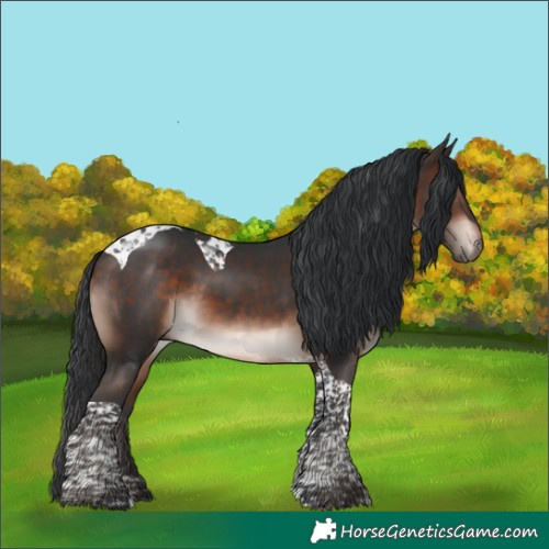 Horse Color:Bay Mushroom Tobiano 