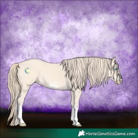 Horse Color:Perlino Splash and Perlino Splash Frame