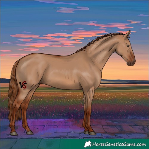 Horse Color:Red Dun 