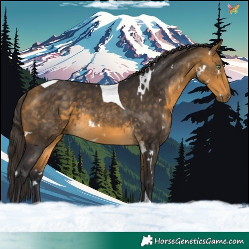 Horse Color:White Spotted Buckskin Tobiano 