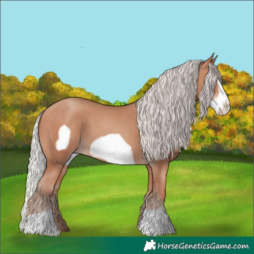 Horse Color:Silver Sable Champagne Frame 