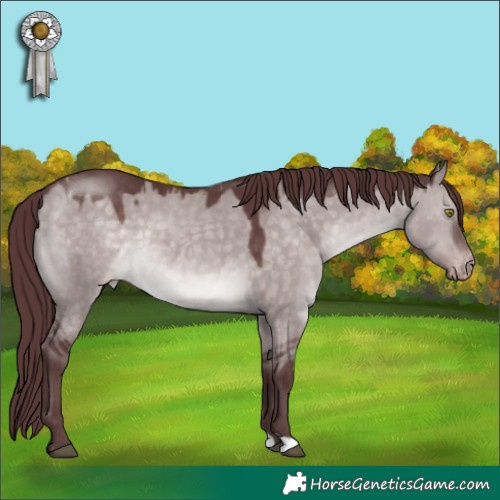 Horse Color:Platinum Chocolate Brown Dun Varnish 