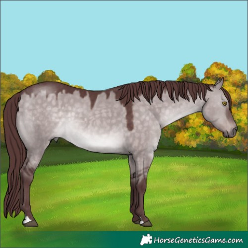 Horse Color:Platinum Chocolate Brown Dun