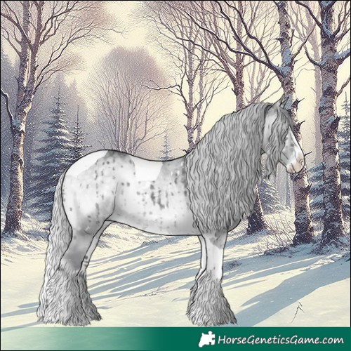 Horse Color:White Spotted Silver Grullo Chinchilla Onyx Splash Tobiano Rabicano Brindle