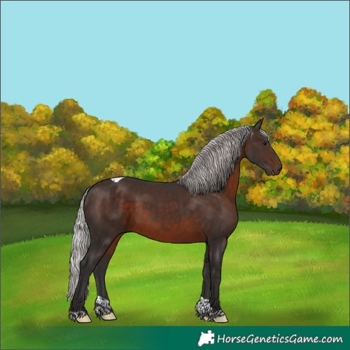 Horse Color:Silver Brown Mushroom Tobiano