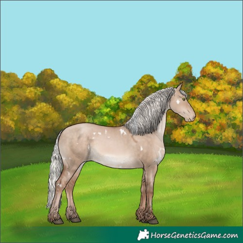 Horse Color:White Spotted Silver Brown Pearl Dun Mushroom Rabicano