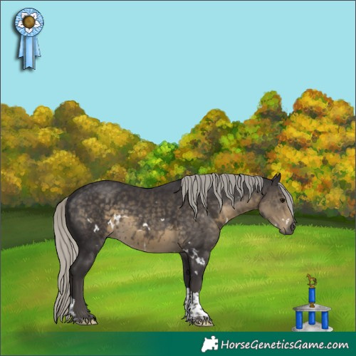 Horse Color:White Spotted Silver Smoky Black Mushroom Tobiano