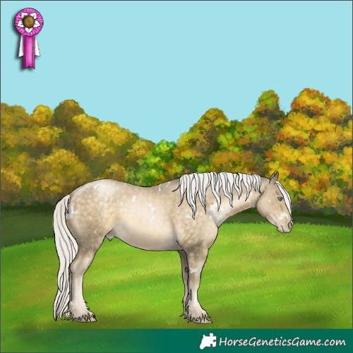 Horse Color:White Spotted Silver Buckskin Pearl Mushroom